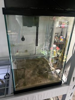 10gal Fish Tank