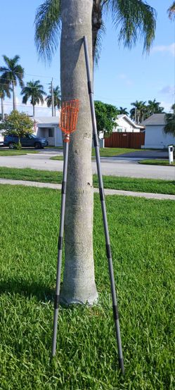 13Ft Stainless Steel Fruit Picker