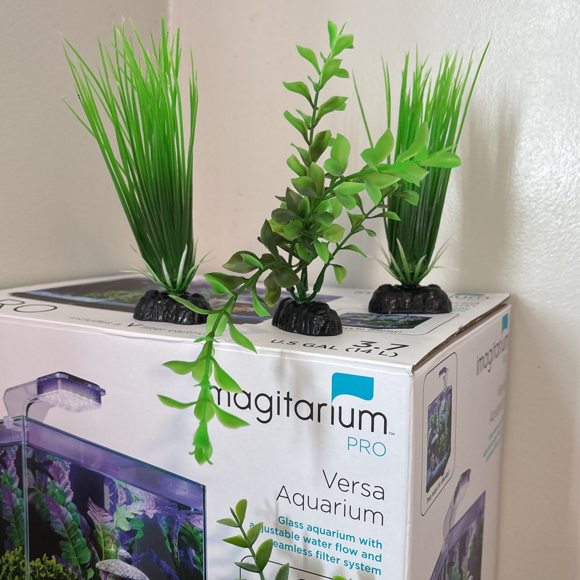 Fish Tank Plants