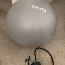Exercise Ball