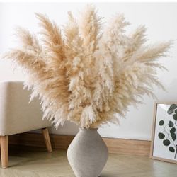 Tall Pampas Grass