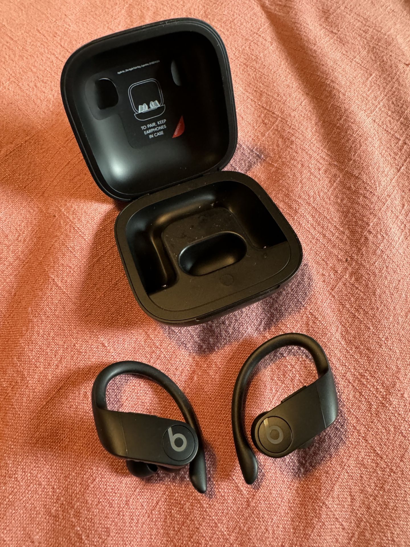 Beats Powerbeats Pro Earbuds