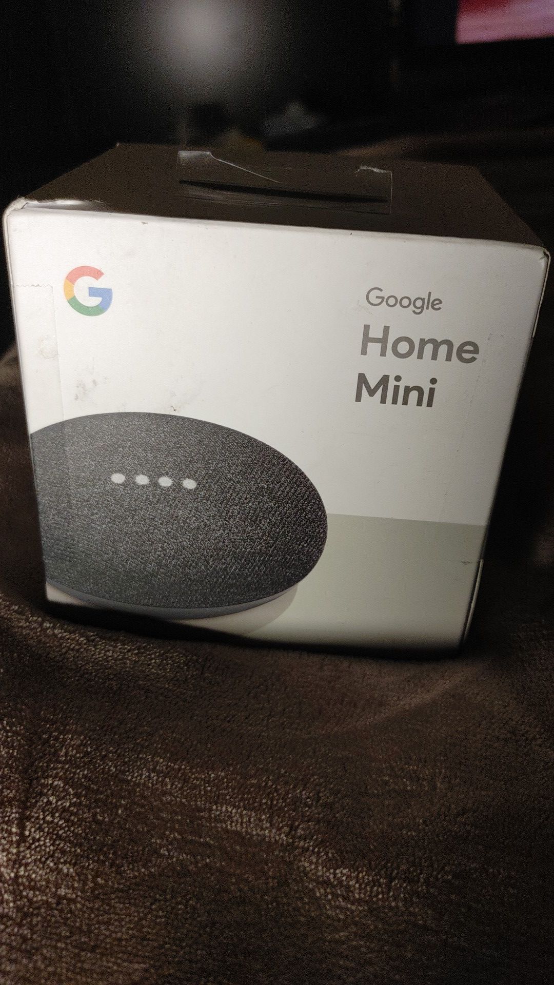 Google Mini Home
