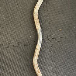Curl Bar 