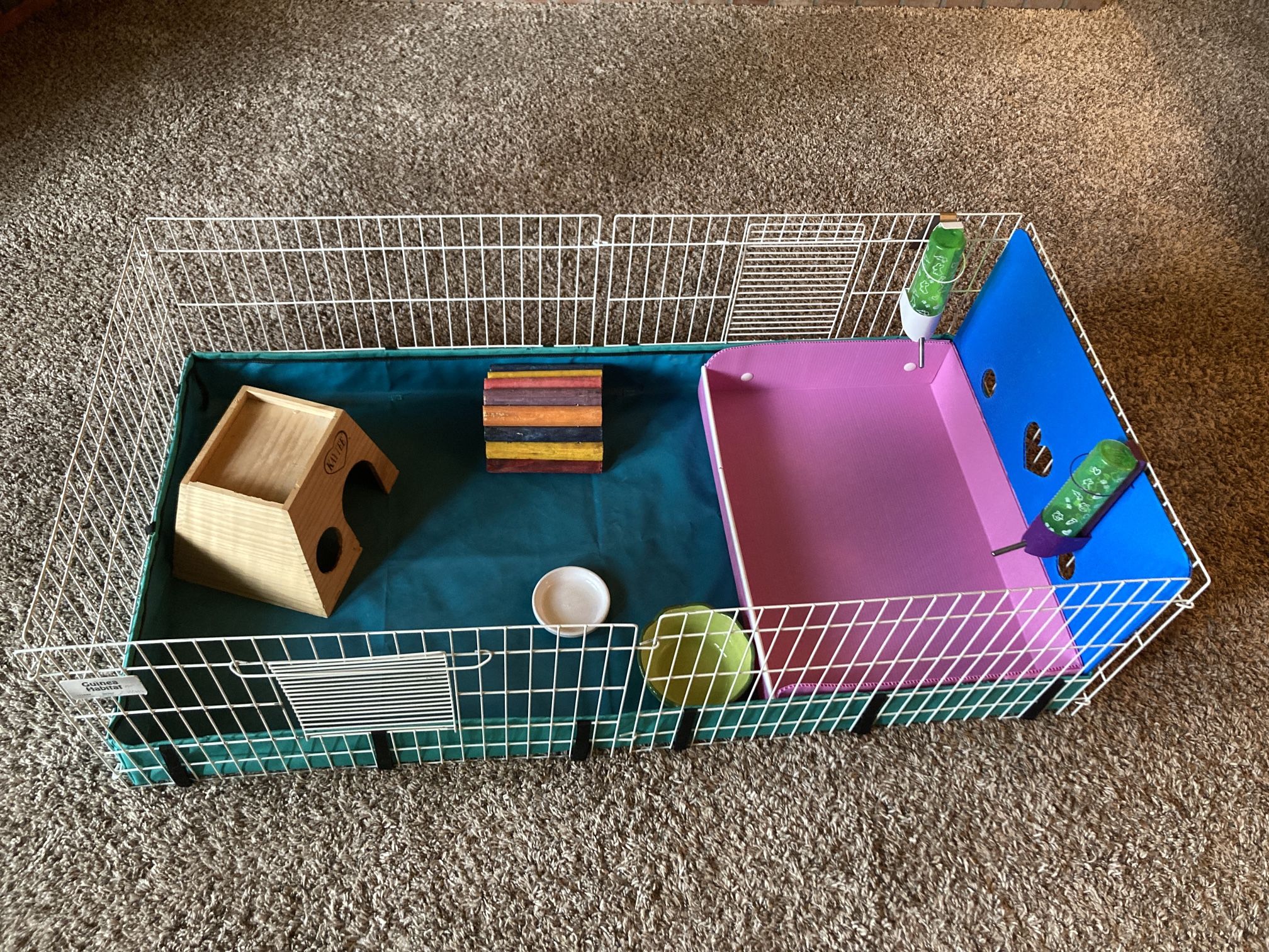 Guinea Pig Habitat