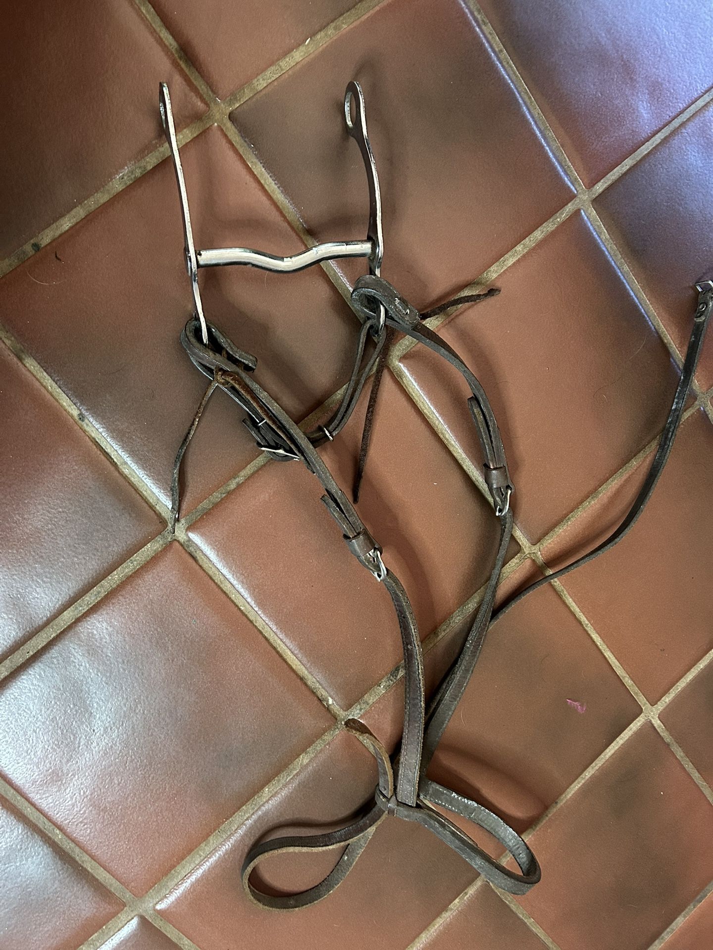 Vintage Horse Bit and Bridle Sets