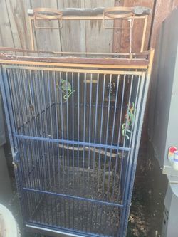 Bird cage big one