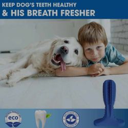 Dog Chew Toothbrush - Safe, Natural