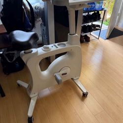 Desk bike