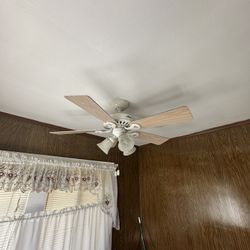 Ceiling Fan