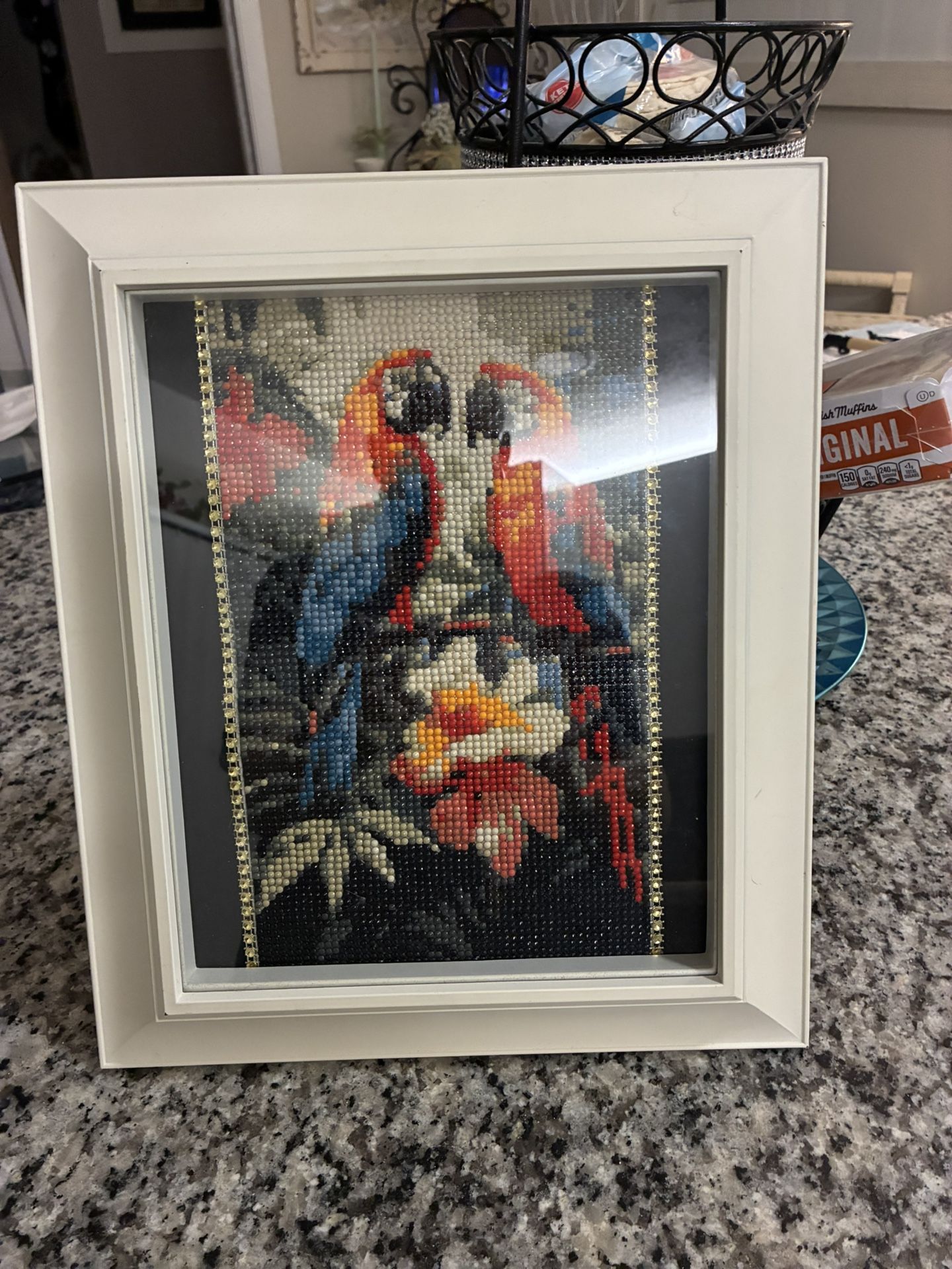 Diamond Picture Of Two Parrots 🦜