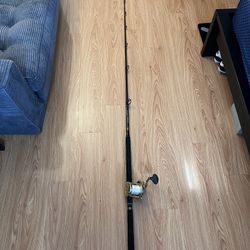 Fishing Rod And Reel