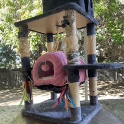 Cat Bed And Cat Play Tower 