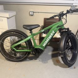 HIMIWAY D5(Zebra) / Premium All-terrain Electric Fat Bike - Dark Green