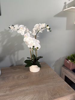 Artificial white orchid plant