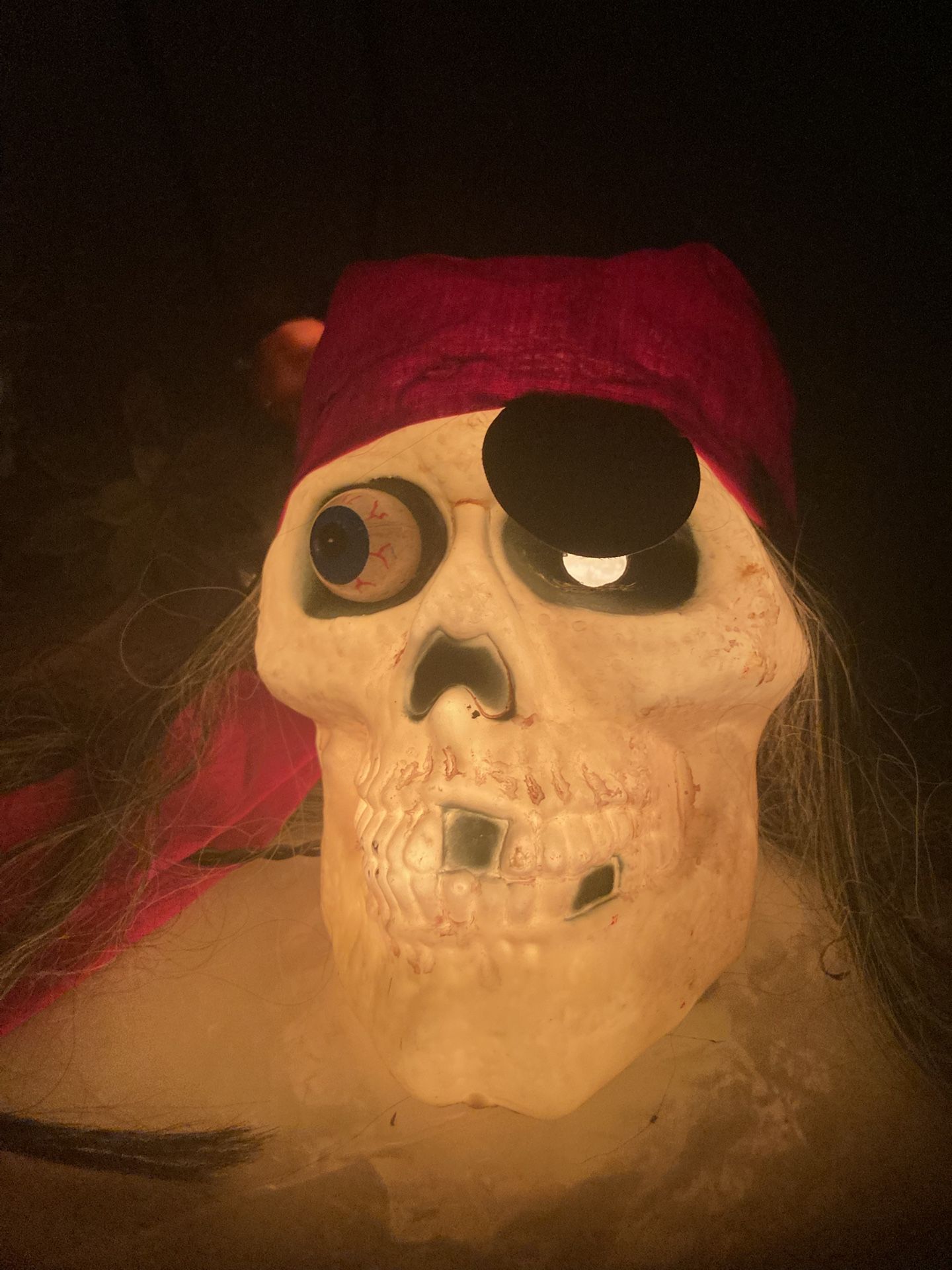 Halloween Decorations 