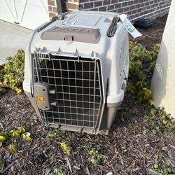 Dog Cage
