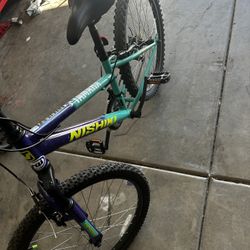 Nishiki Pueblo 24” Youth Bike 