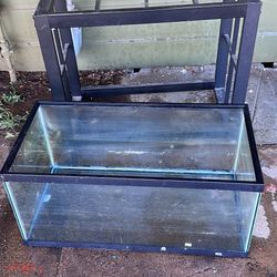 40 Gallon Fish Tank And Stand