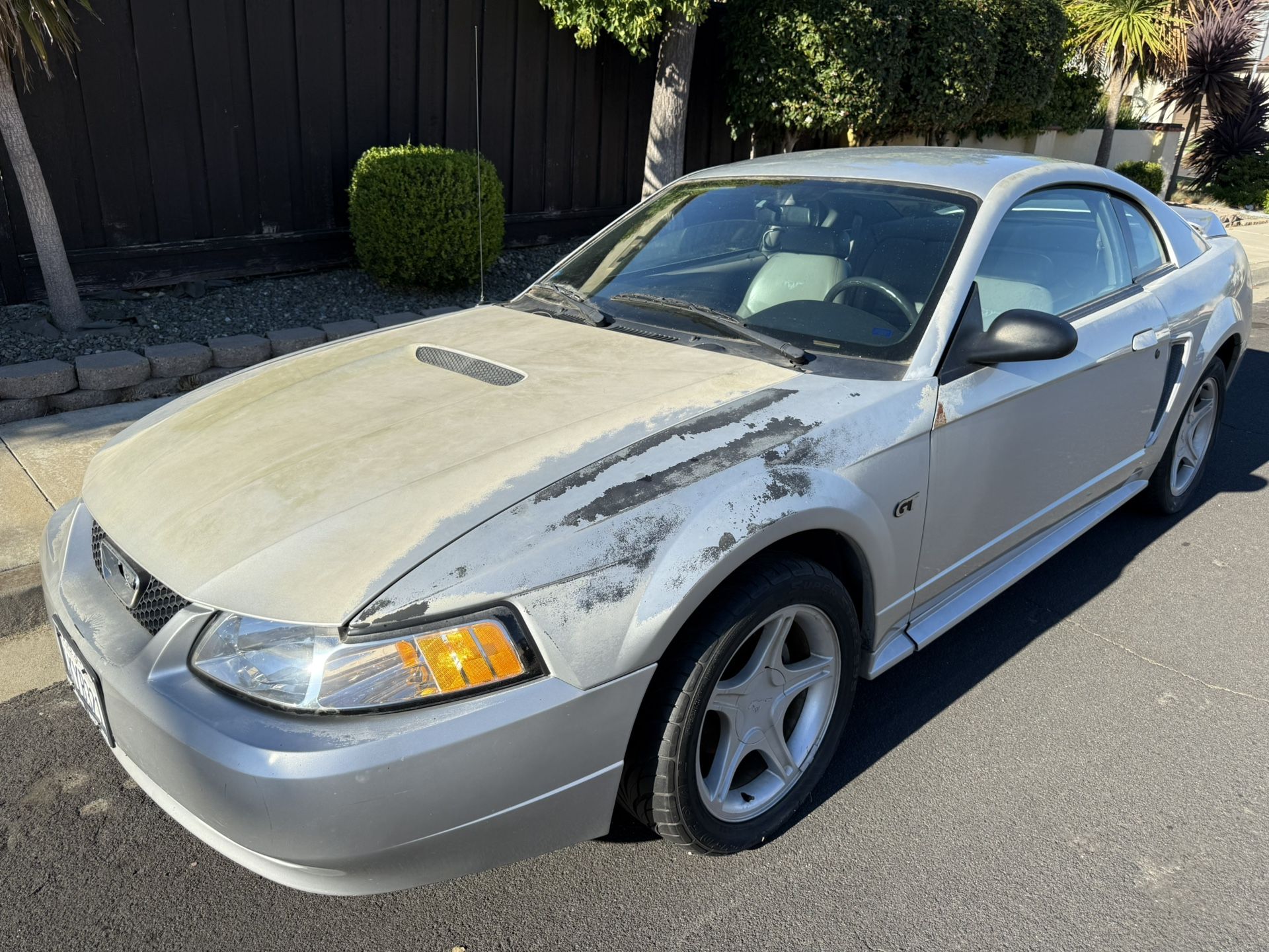 2000 Ford Mustang