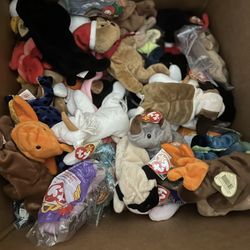 Beanie Babies