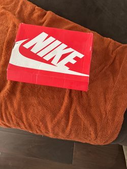 Nike dunk low retro