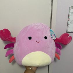 Cailey Squishmellow