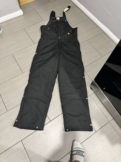 Carhartt Men's  Insulated Biberalls