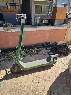 Green commercial Bird E-scooter