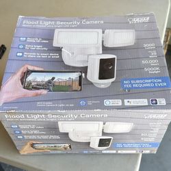 Security Flood Light