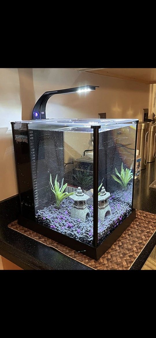 Fluval SPEC Betta Fish Tank Nano Desktop AQUARIUM Fluval Brand