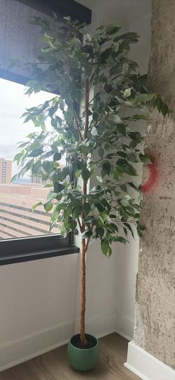 Large Artificial Ficus Tree in Pot