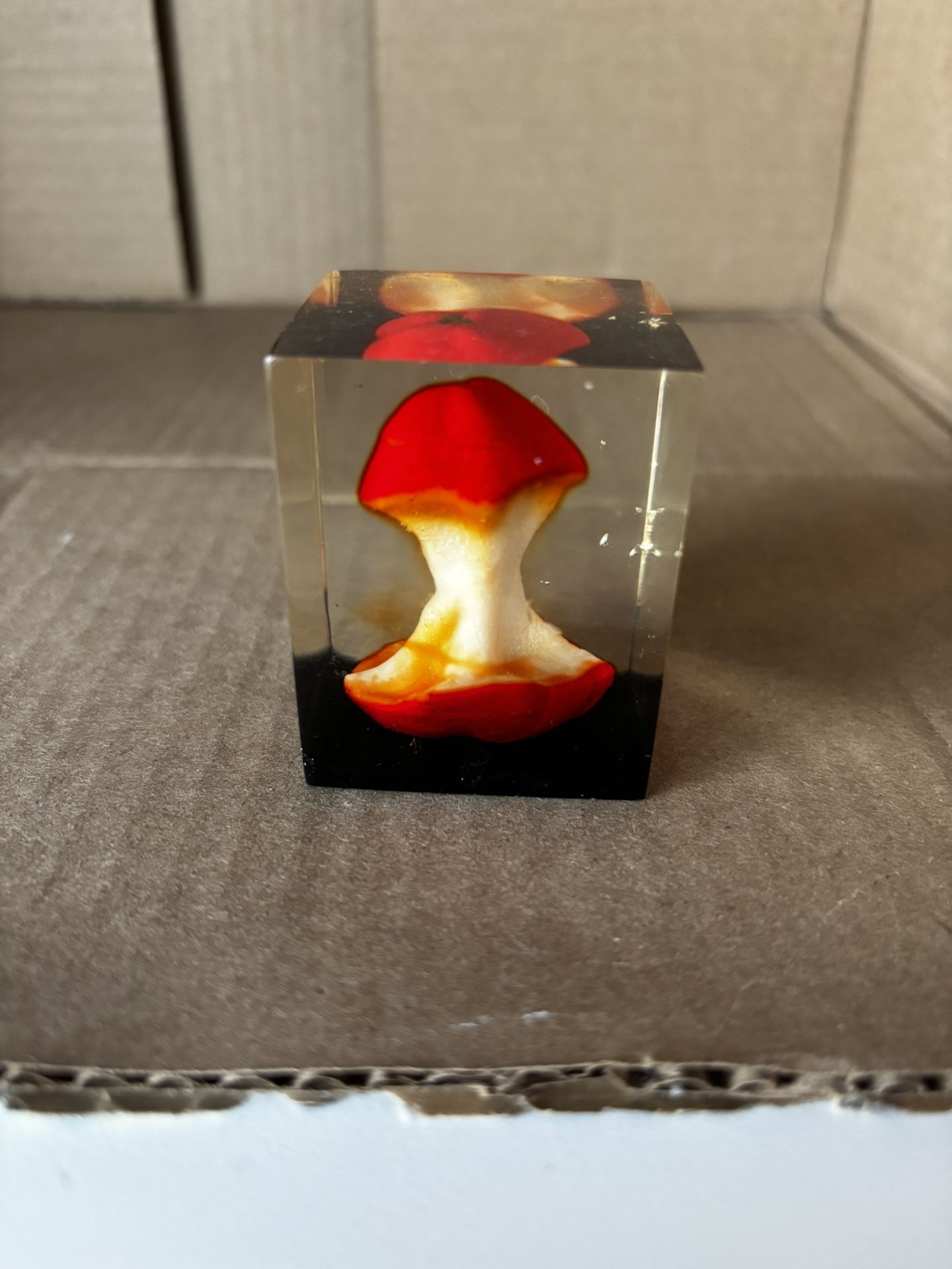 Rare 2x2 Vintage Apple Core In Enclosed Lucite Block Paperweight Gift/Collect