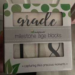 Milestone Blocks For Baby Pictures 