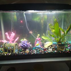 Fishtank 30 & 10 Gal. Tanks