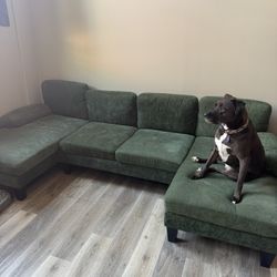 Green couch