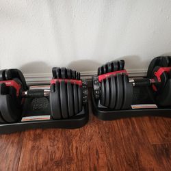 Bowflex Adjustable Dumbbell Set 52.5 LB With Rack Stand