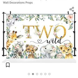 Two Wild Birthday Theme Decoration Supplies