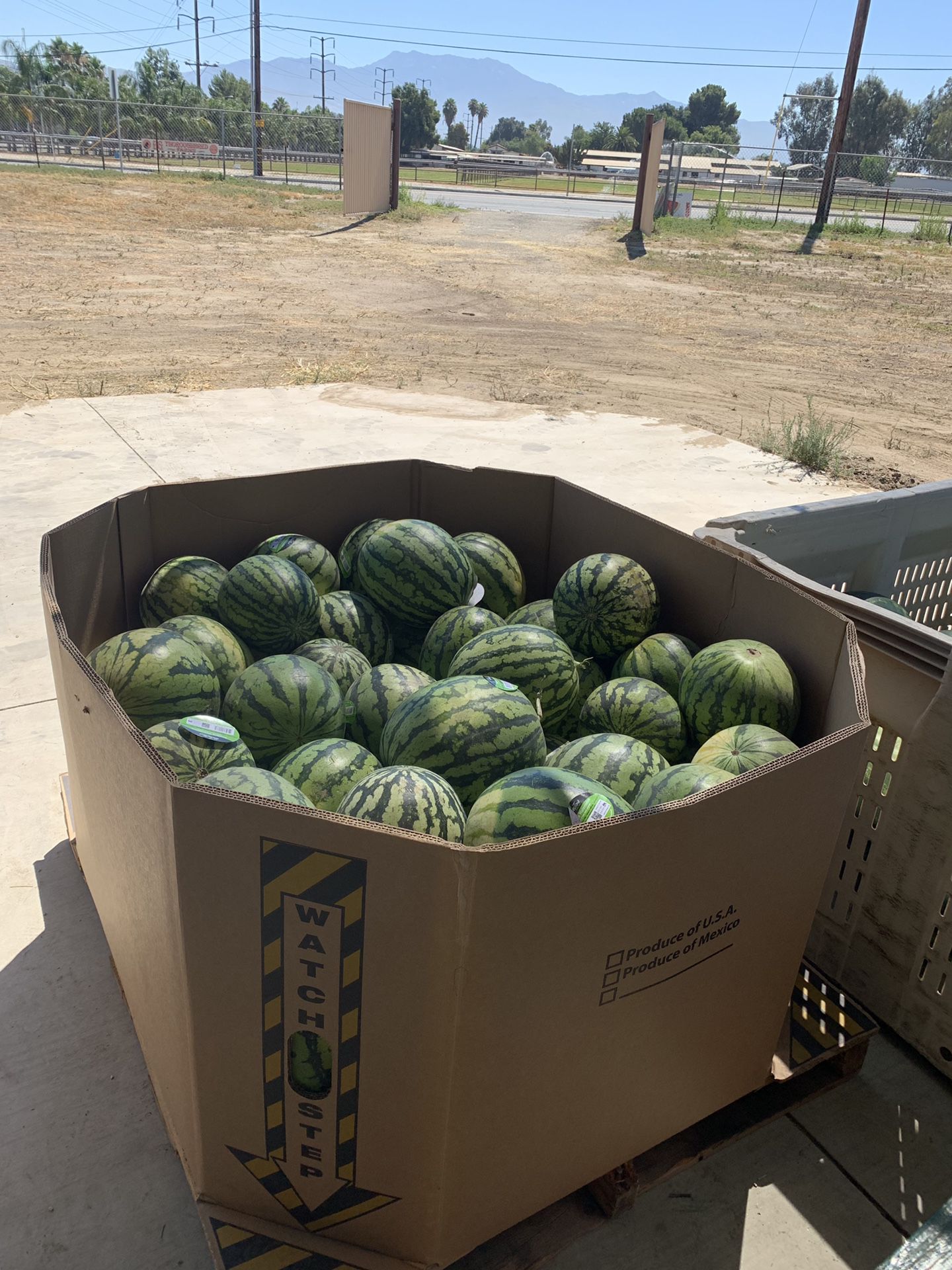 Watermelons $2 dlls We are located in C and R farms, HEMET CA
