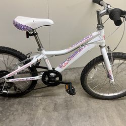 Liv youth bike 20 inch wheels with gears