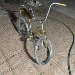 Gold And Silver Low rider 20 Inch Bike