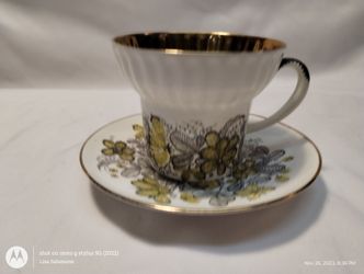 Vintage Tea Cup N Saucer