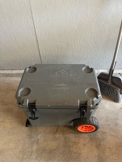 Cooler/ice chest