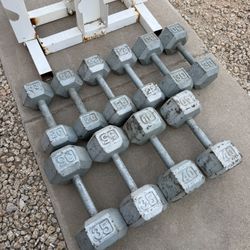 Dumbells And Rack