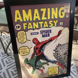 The Amazing Spiderman Framed Art