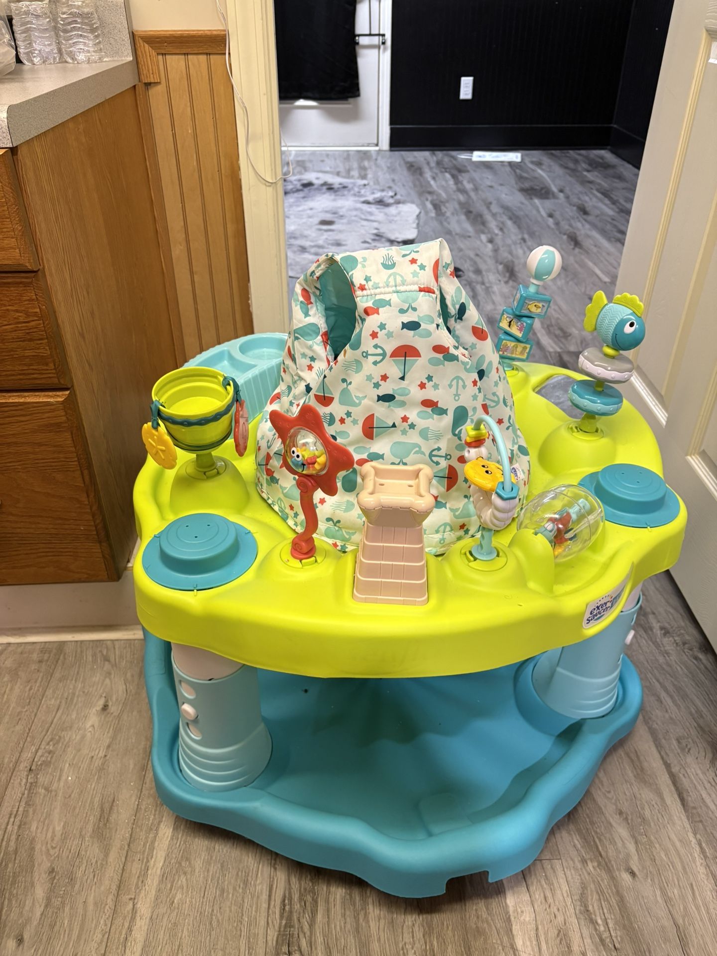 Baby Bouncer