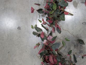 Vibrant Artificial Syngonium Garland Vine - Green & Pink Variegated Leaves