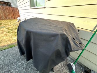 Blackstone Griddle Grill from Costco