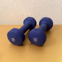 pair of 5 Ib hand weights 