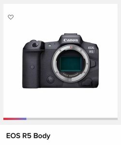 Canon EOS r5 body